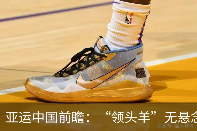 亚运中国前瞻：“领头羊”无悬念 “含金量”见真章